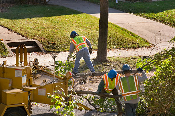 Best Aeration Services  in Lake Tansi, TN